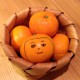 めぐどん